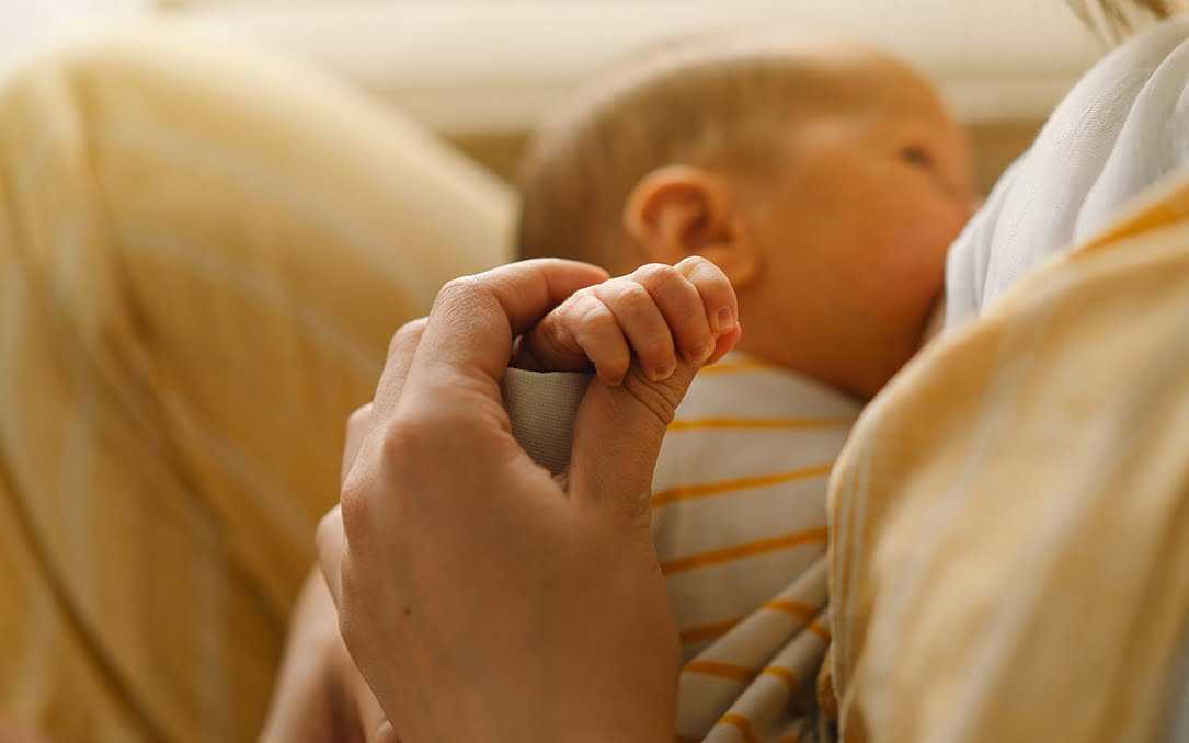 二代山东包生代生可以孩吗，附山东包生代生明细!！